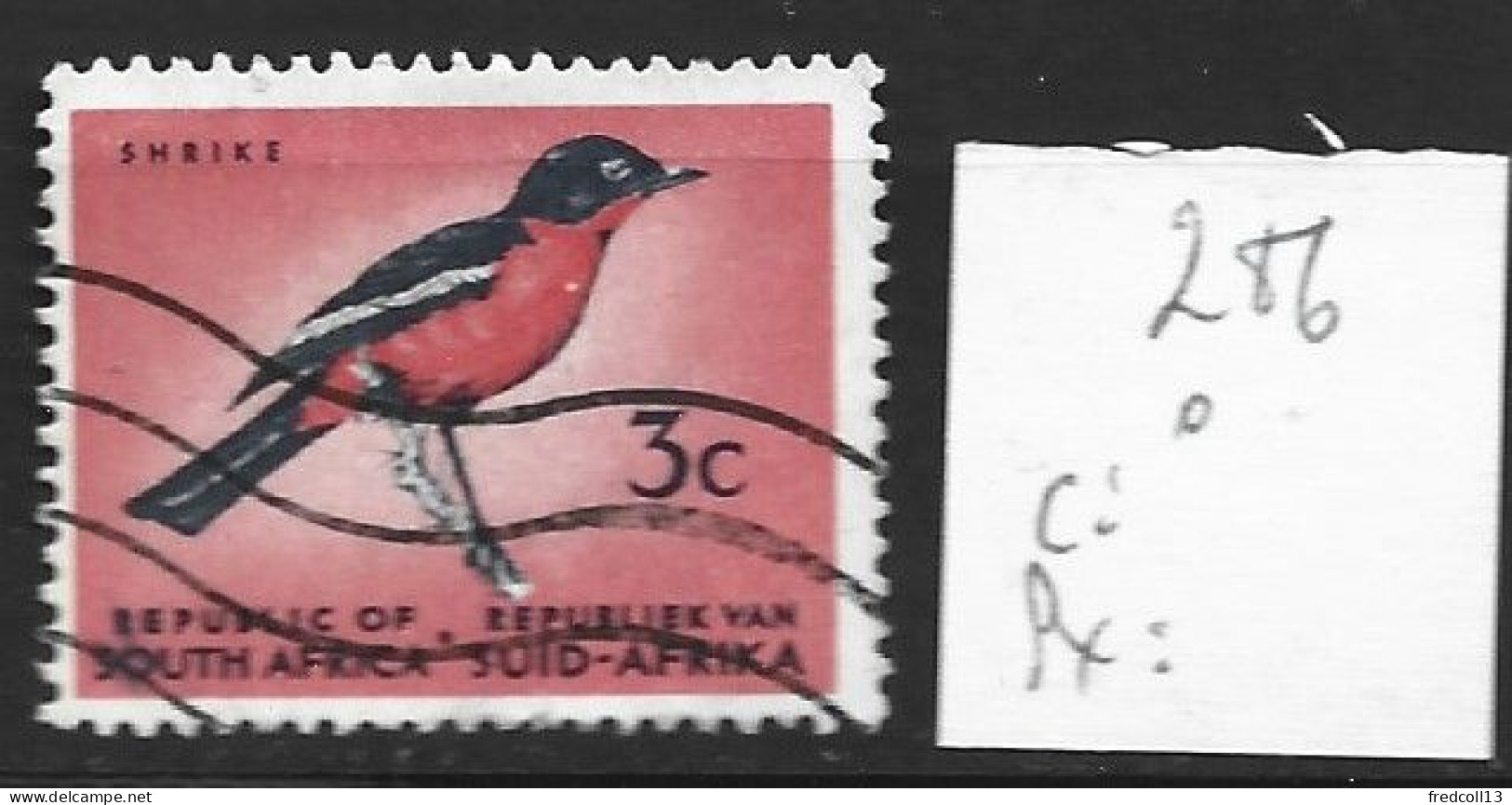 AFRIQUE DU SUD 286 Oblitéré Côte 0.15 € - Used Stamps
