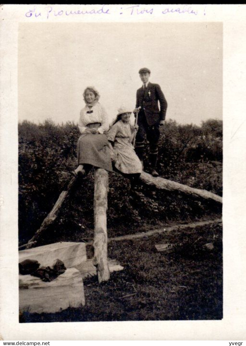 Carte Photo De 2 Femmes Et Un Homme Perchés Sur Des Poteaux De Bois - Genealogy