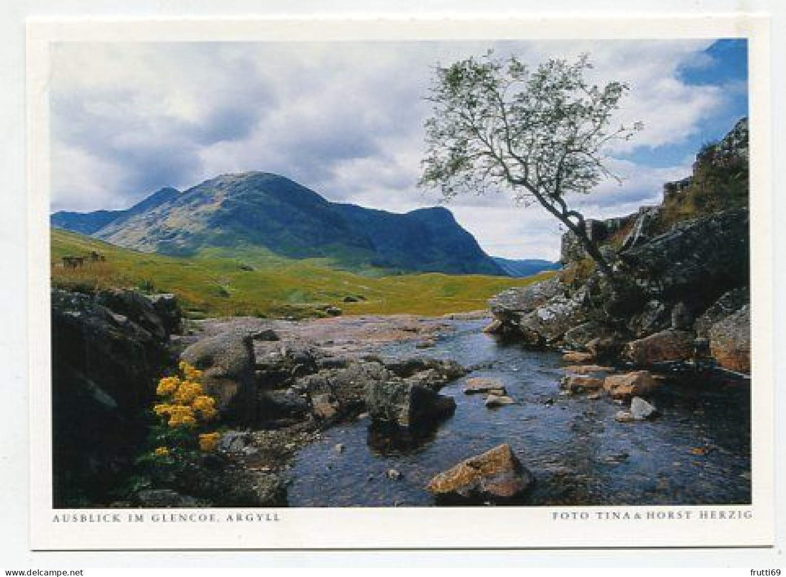 AK 177687 SCOTLAND - Ausblick Im Glencoe - Argyllshire