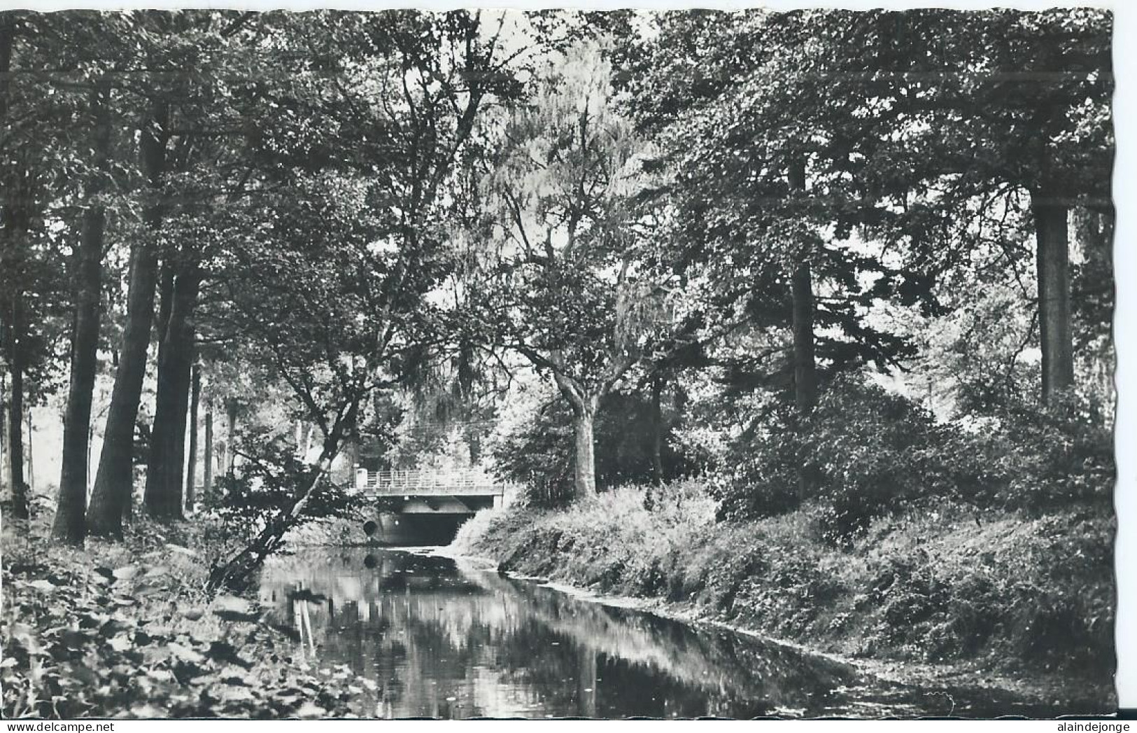 Kasterlee - Zicht Op De Nete - 1960 - Kasterlee