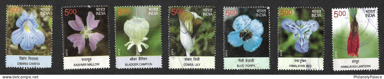 India 2013 Wild Flowers, Botany, Plant, Flora, Plant, Himalaya, 7 Used (**) Inde Indien - Gebraucht