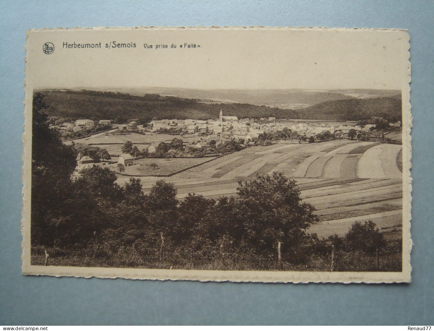 Herbeumont Sur Semois - Vue Prise Du " Faité " - Herbeumont