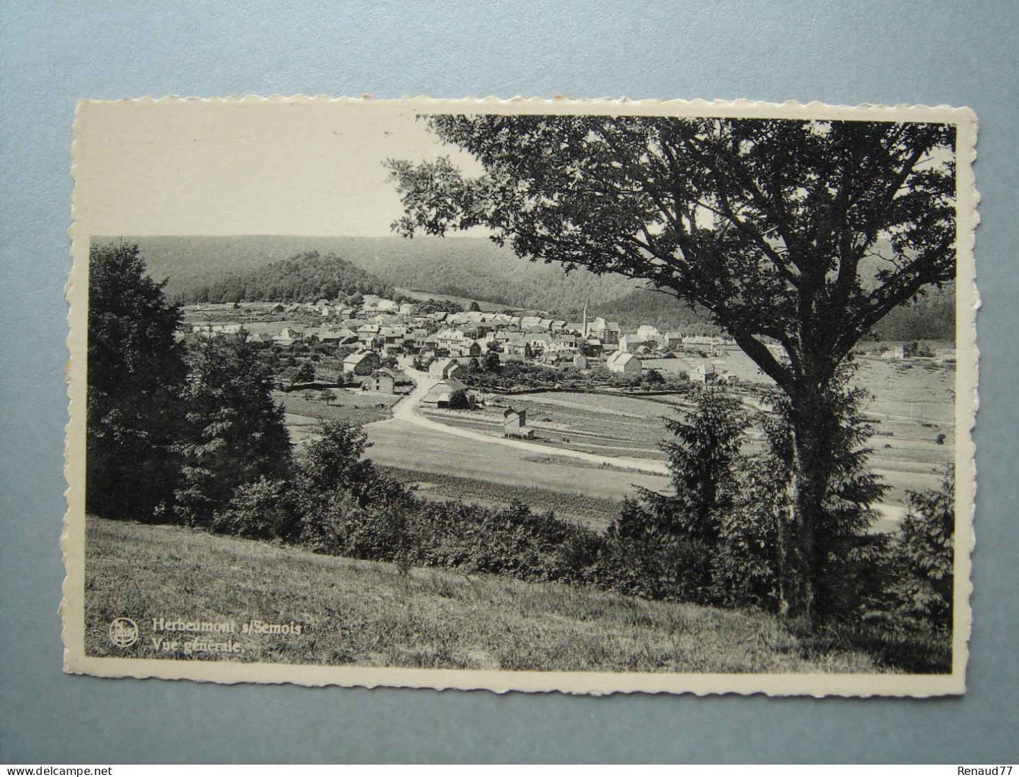 Herbeumont Sur Semois - Vue Générale - Herbeumont