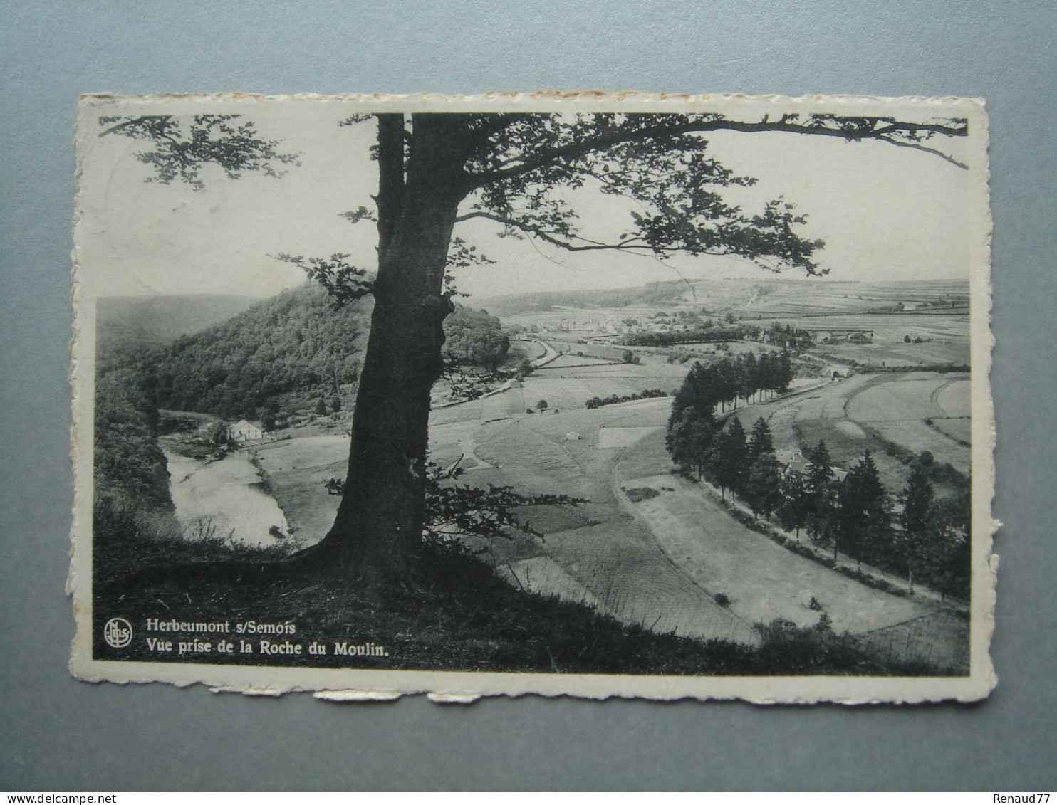 Herbeumont Sur Semois - Vue Prise De La Roche Du Moulin - Herbeumont