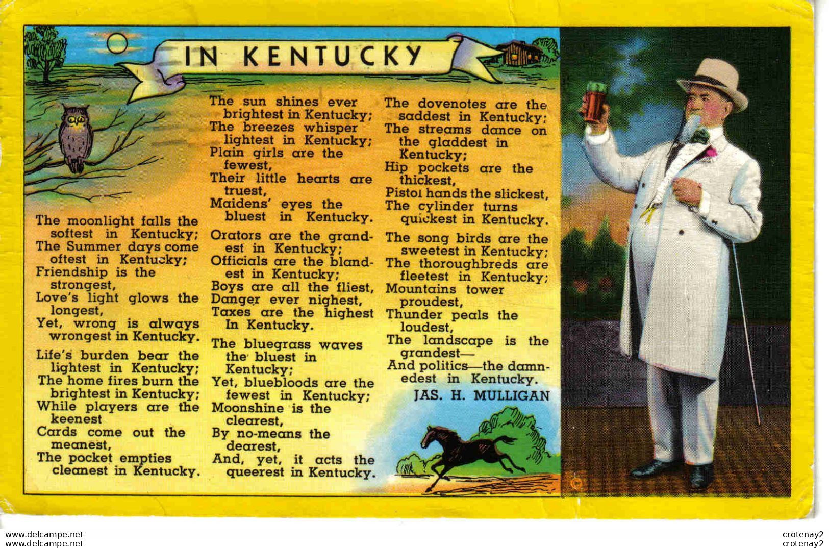 In KENTUCKY En 1987 Carte écrite De Owensboro Hibou Ou Chouette Cheval - Owensboro