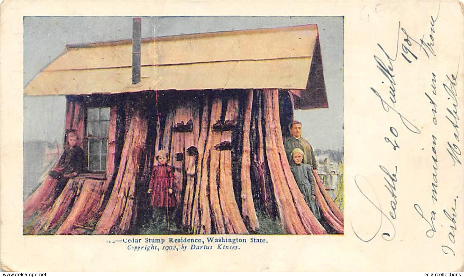 U S A    Washington State     Cedar Stump Résidence.        (voir Scan) - Autres & Non Classés