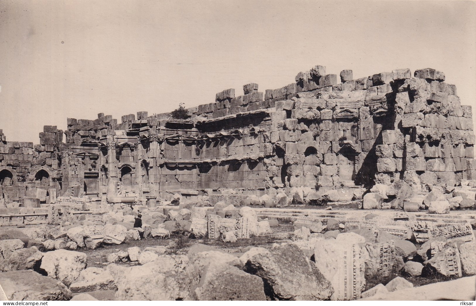 JORDANIE(PETRA) CARTE PHOTO - Jordanie