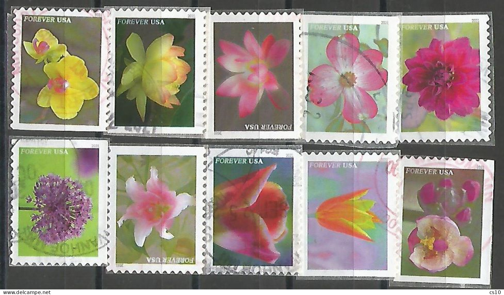 USA 2021 Garden Flowers SC 5558/67 MI 5791/800 YT 5400/09 - Cpl 10v Set In VFU Condition Circular PMK - Volledige Jaargang