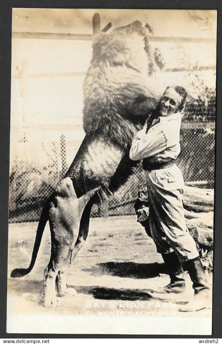 Animaux & Faune > C.P.A. Carte Photo - Lions Gay's Lion Farm El Monte California - Uncirculated   Non Circulée - Lions