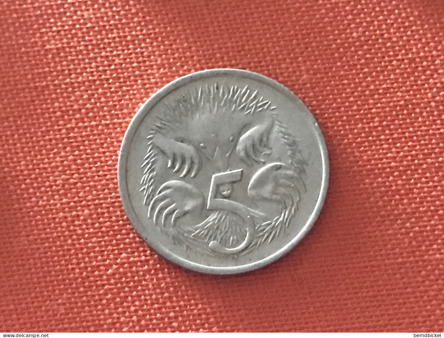 Münze Münzen Umlaufmünze Australien 5 Cent 1982 - Cent