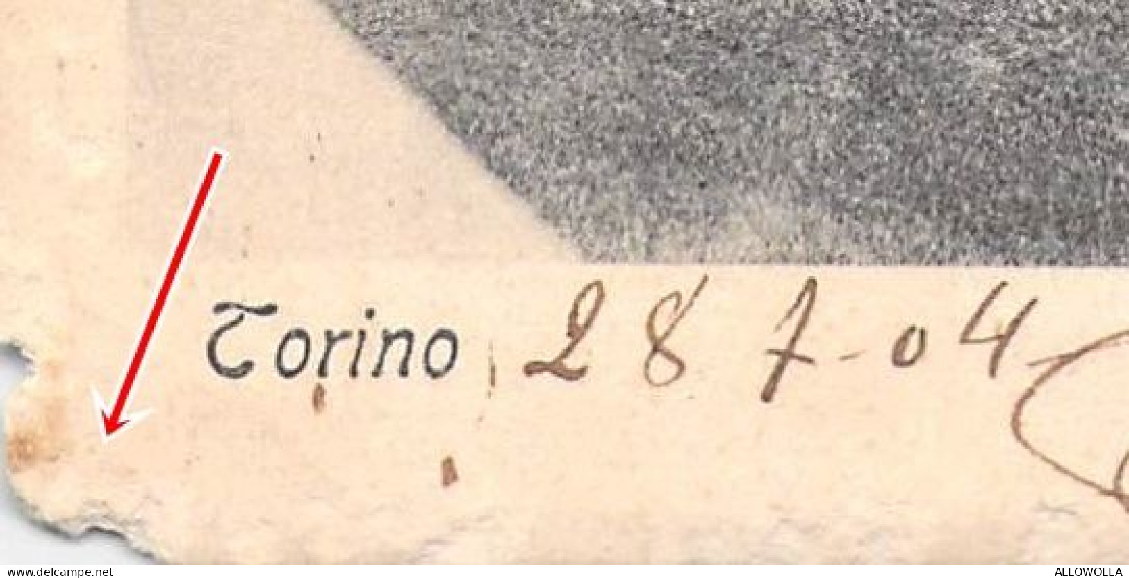 24190 " TORINO-GRANDE FONTANA DEL VALENTINO "-VERA FOTO-CART. SPED.1904 - Parchi & Giardini