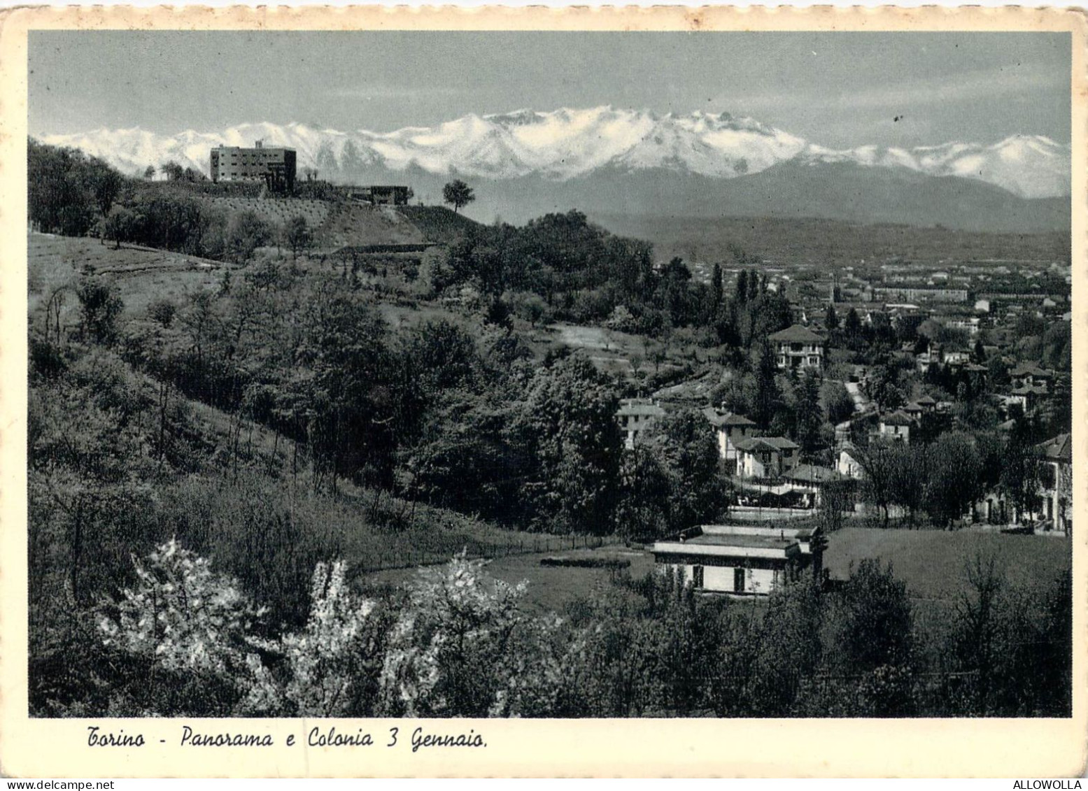 24191 " TORINO-PANORAMA E COLONIA 3 GENNAIO "-VERA FOTO-CART. NON SPED. - Panoramische Zichten, Meerdere Zichten