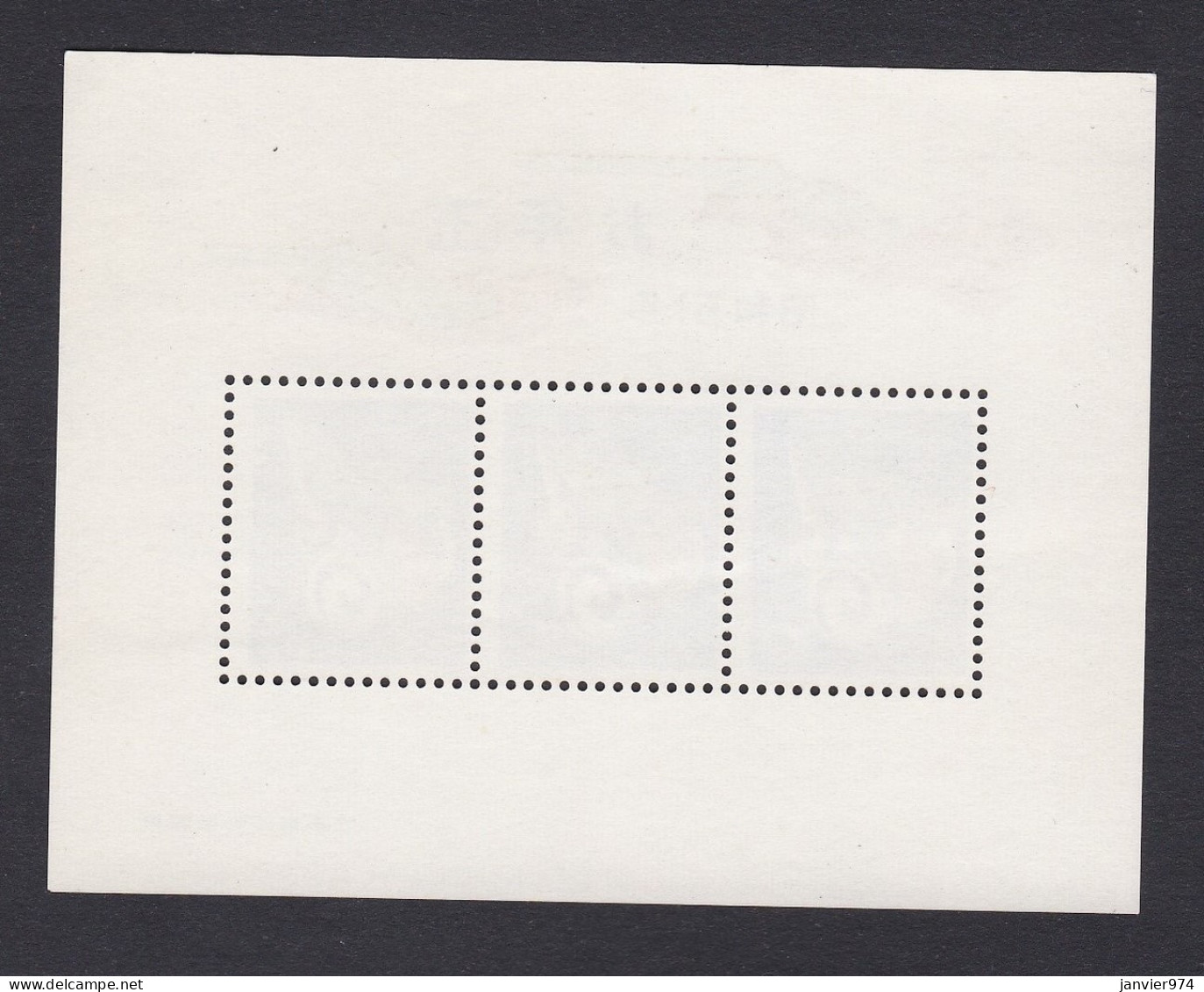 Japon 1975 , Bloc Neuf , Année Du Dragon, Voir Scan Recto Verso  - Unused Stamps