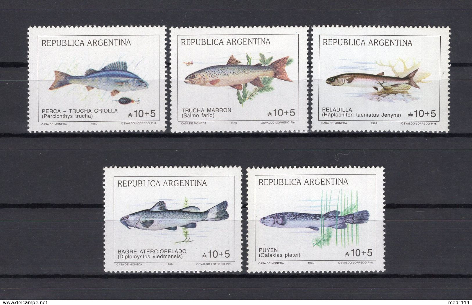 Argentina/Argentine 1989 - Argentine Philately - Fish - Stamps 5v - Complete Set - MNH** - Excellent Quality - Superb*** - Ongebruikt