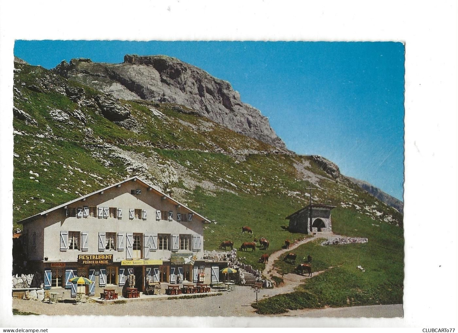 Le Grand-Bornand (74) : Le Restaurant DE LA POINTE BLANCHE Col De La Colombière En 1980 GF. - Le Grand Bornand