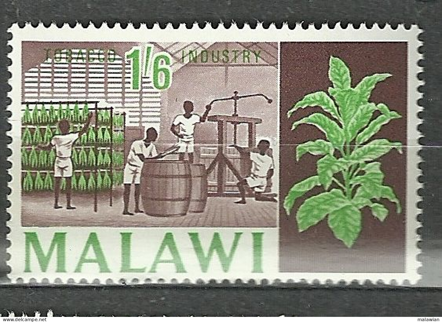 Malawi, 1966 (#48a), Tobacco Industry Agriculture Field Plant Wooden Barrels Tabakindustrie Landwirtschaft Pflanze - Tabacco