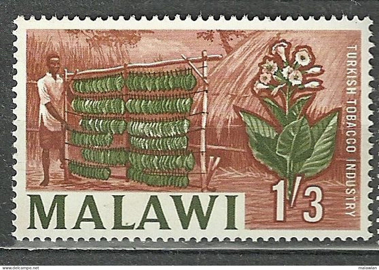 Malawi, 1964 (#9e), Local Motives Plants Turkish Tobacco Industry Flowers - 1v Single - Tabaco