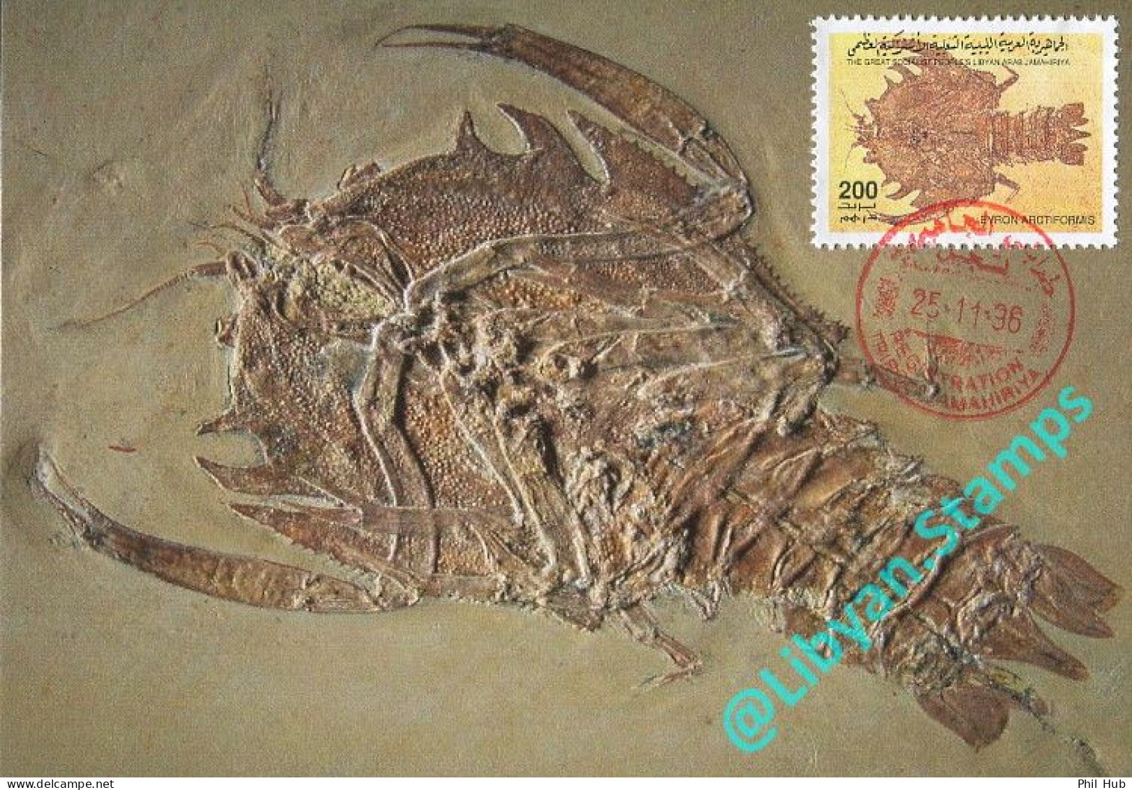 LIBYA 1996 Fossils "Eyron Arctiformis" (maximum-card) #3 - Fossiles