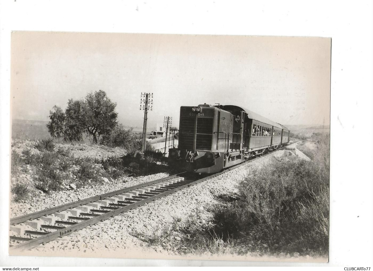 Beyrouth (Liban) : Le Train Taurus Express De La Ligne De Chemin De Fer  En 1950 (animé) GF . - Liban