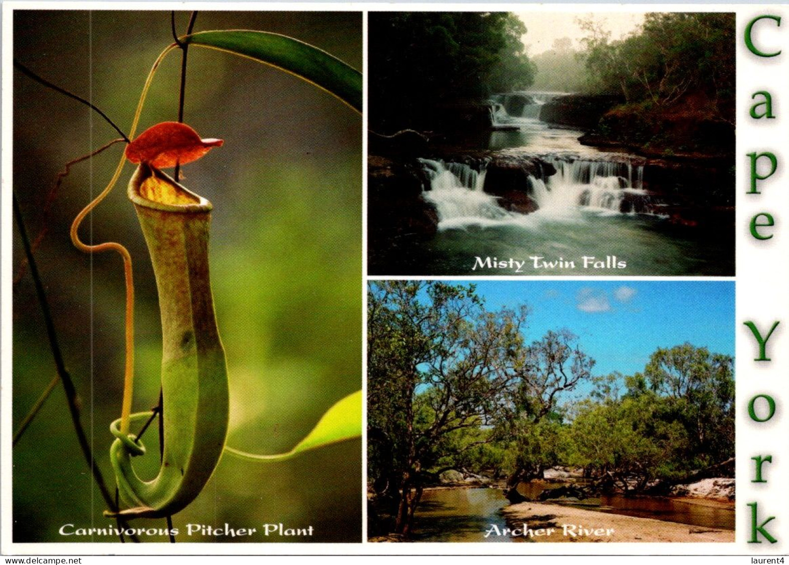 9-11-2023 (1 V 41) Australia (posted With Flower Stamp) - QLD - Cape York (with Carnivorous Plant) - Far North Queensland