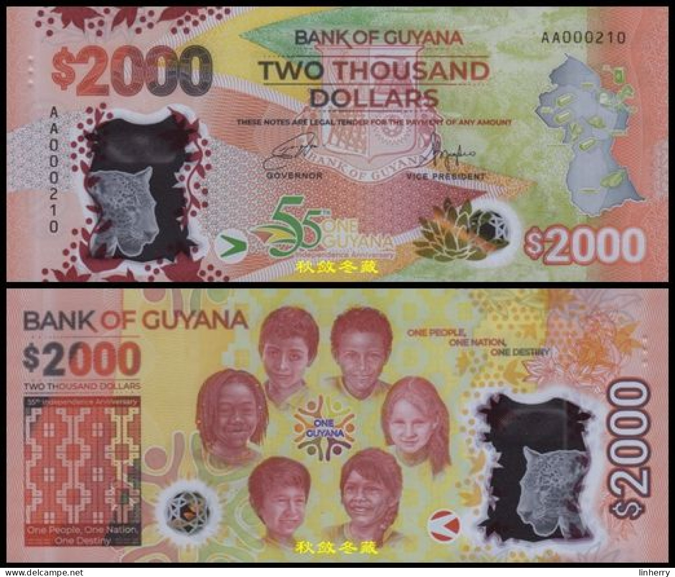 Guyana 2000 Dollars 2022, Polymer, Commemorative, Low Number, UNC - Mozambico