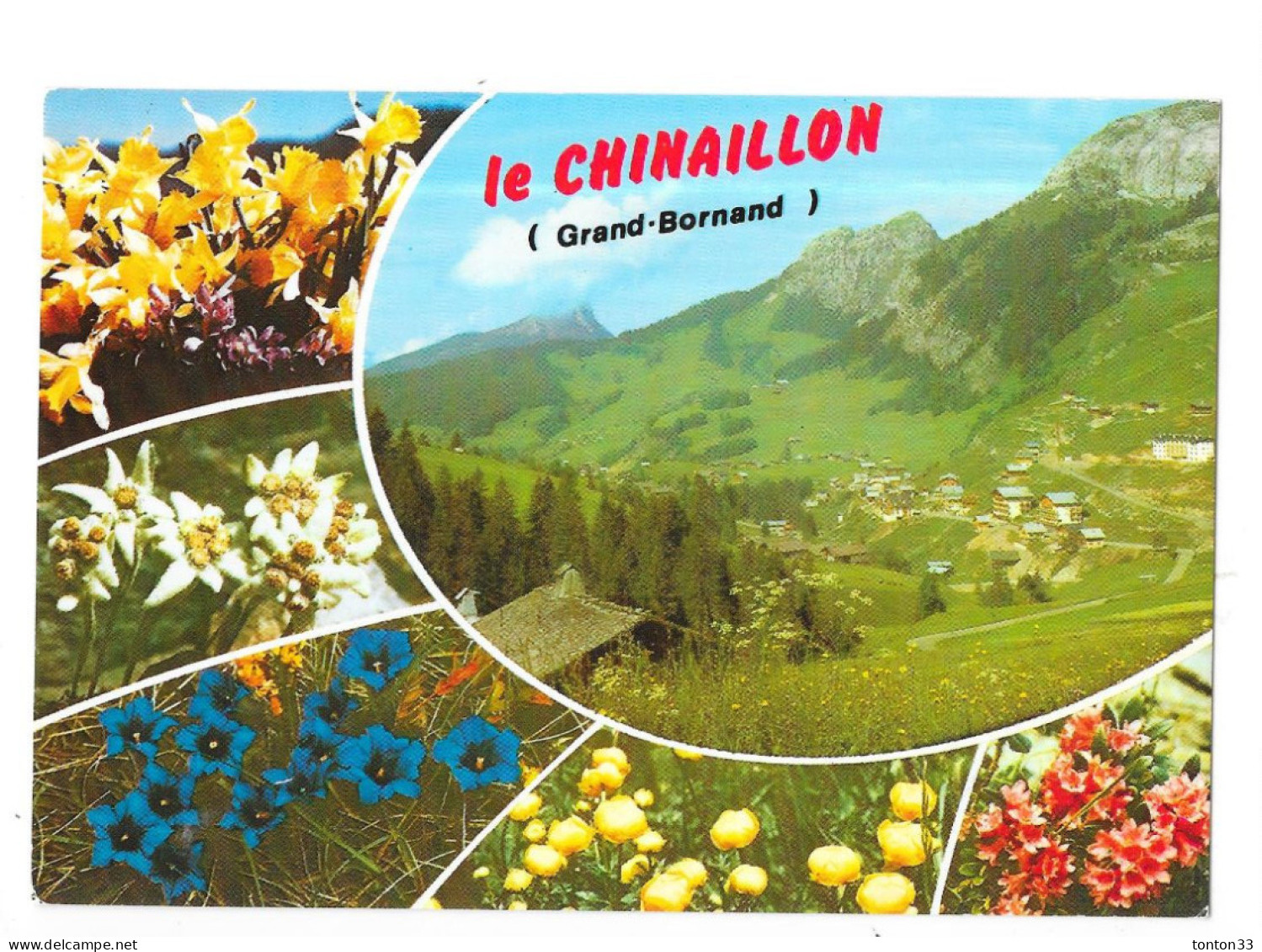 LE CHINAILLON - GRAND BORNAND  - 74 - MULTIVUES - 6 Vues - BX8/SON - - Le Grand Bornand
