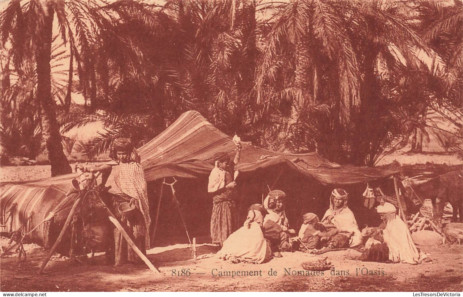 AFRIQUE - Campement De Nomade Dans L'Oasis - Carte Postale Ancienne - Non Classés