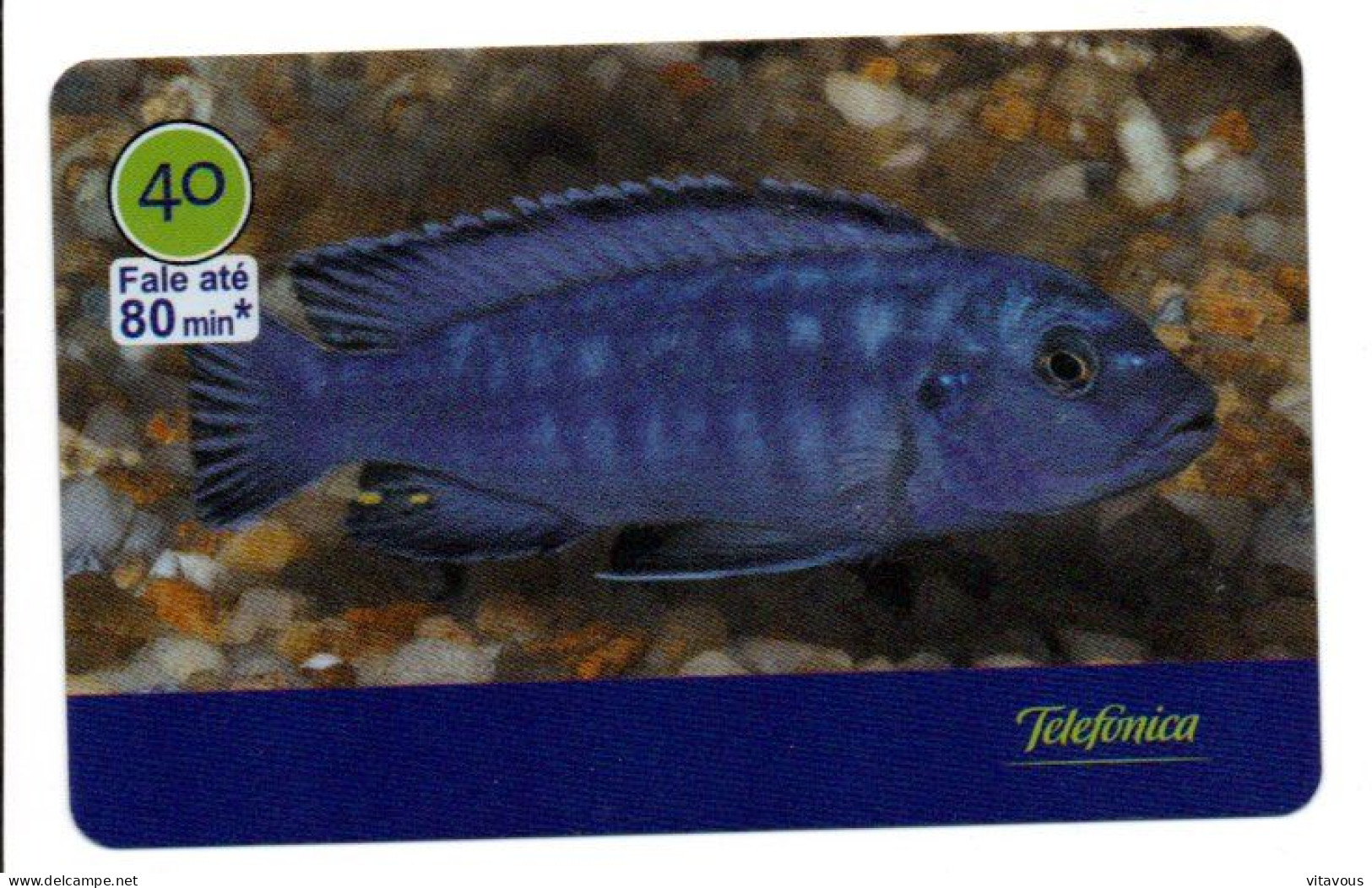 Poisson Fisch Fish Pez Pesce Télécarte Brésil Phonecard  (salon 485) - Brasilien