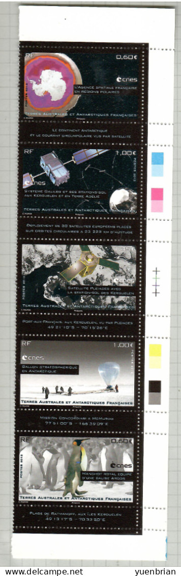 TAAF 2012, Bird, Birds, Penguin, Set Of 4v, MNH** - Pinguïns & Vetganzen