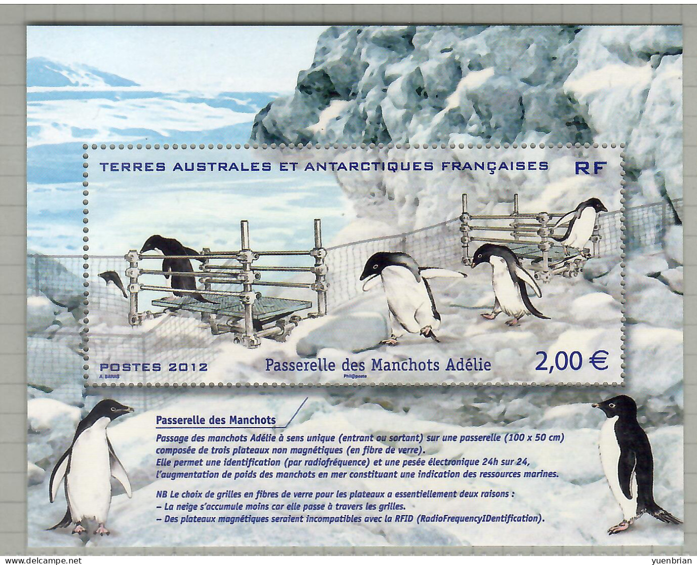 TAAF 2012, Bird, Birds, Penguin, M/S, MNH** - Pinguini