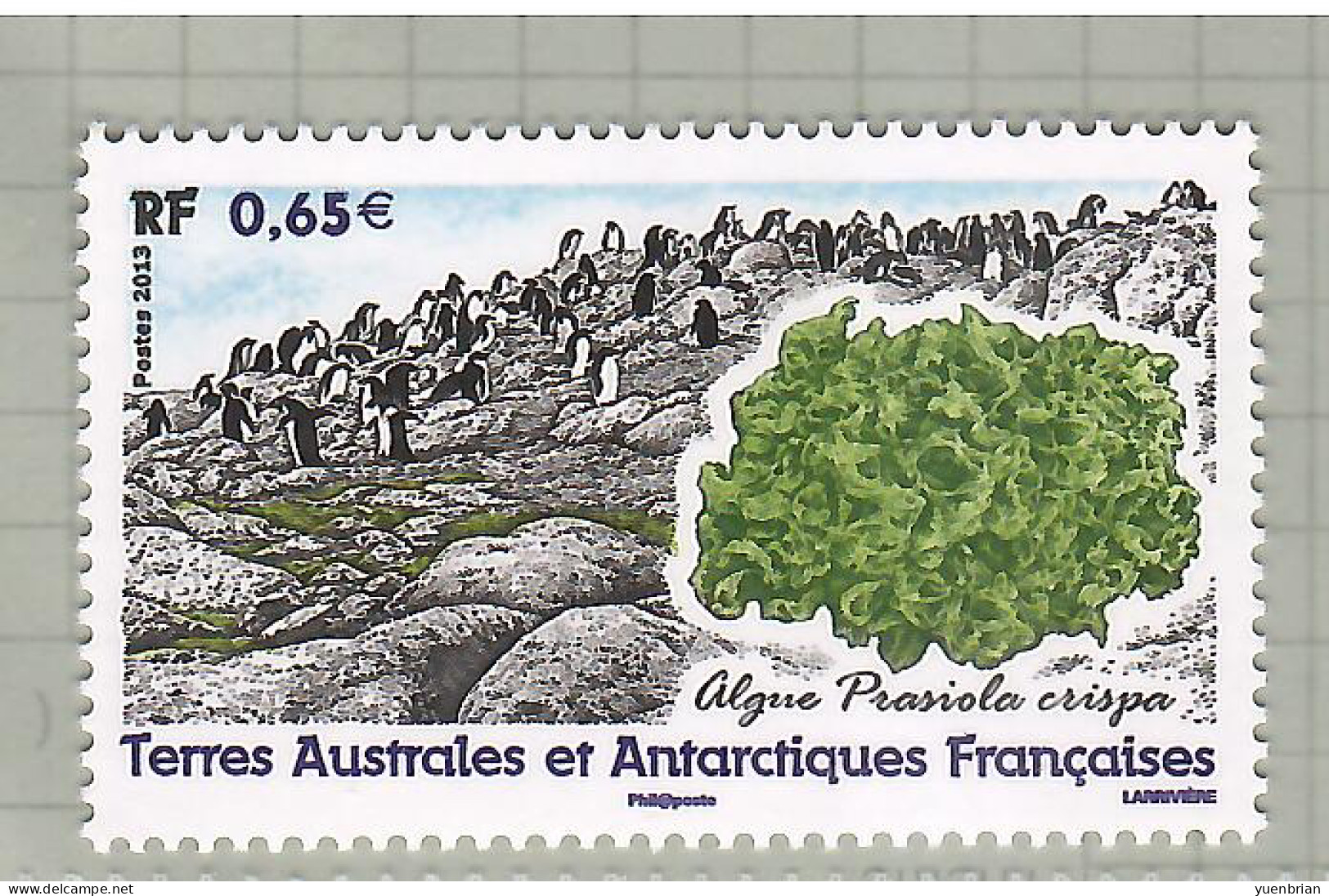 TAAF 2013, Bird, Birds, Penguin, 1v, MNH** - Pinguïns & Vetganzen