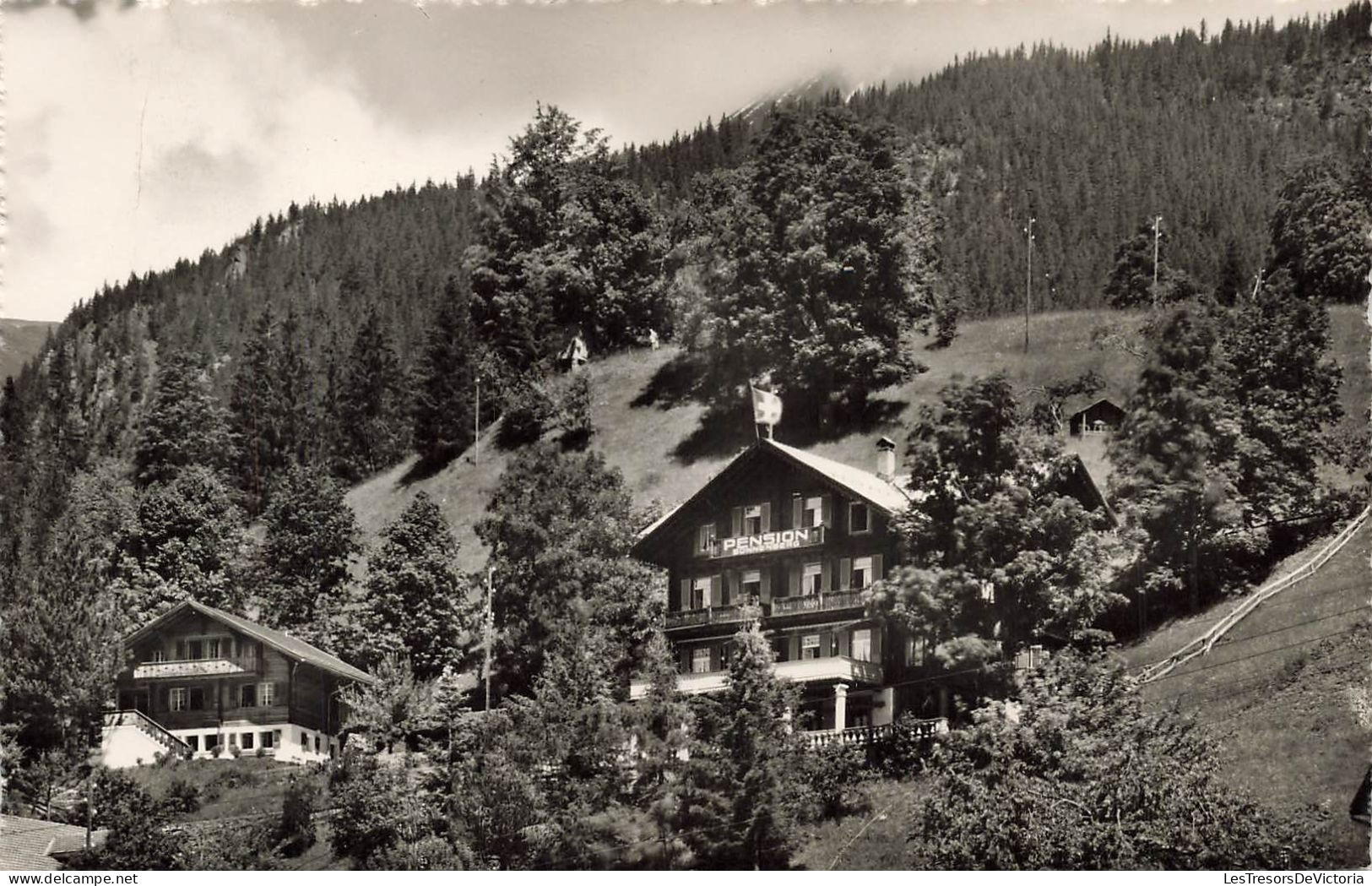 SUISSE - Grinderwald - Pension Sonnenberg - Carte Postale Ancienne - Grindelwald