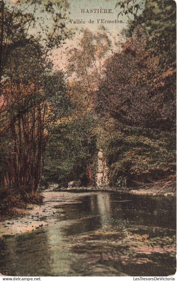 BELGIQUE - Hastière - Vallée De L'Ermeton - Forêt - Rivière - Colorisé - Carte Postale Ancienne - Hastiere