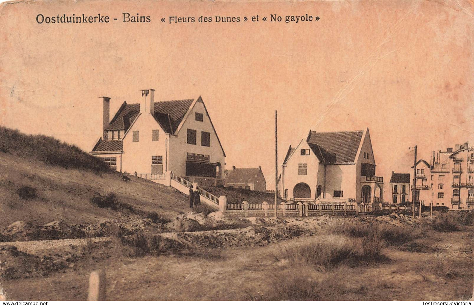 BELGIQUE - Oostduinkerke - Bains - Fleurs Des Dunes Et No Gayole -  Maisons De Campagnes Carte Postale Ancienne - Oostduinkerke