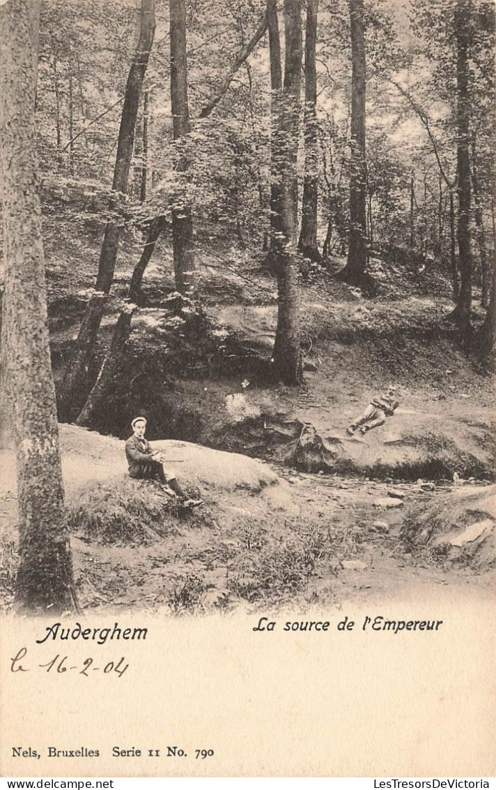 BELGIQUE - Auderghem - La Source De L'empereur - Carte Postale Ancienne - Auderghem - Oudergem