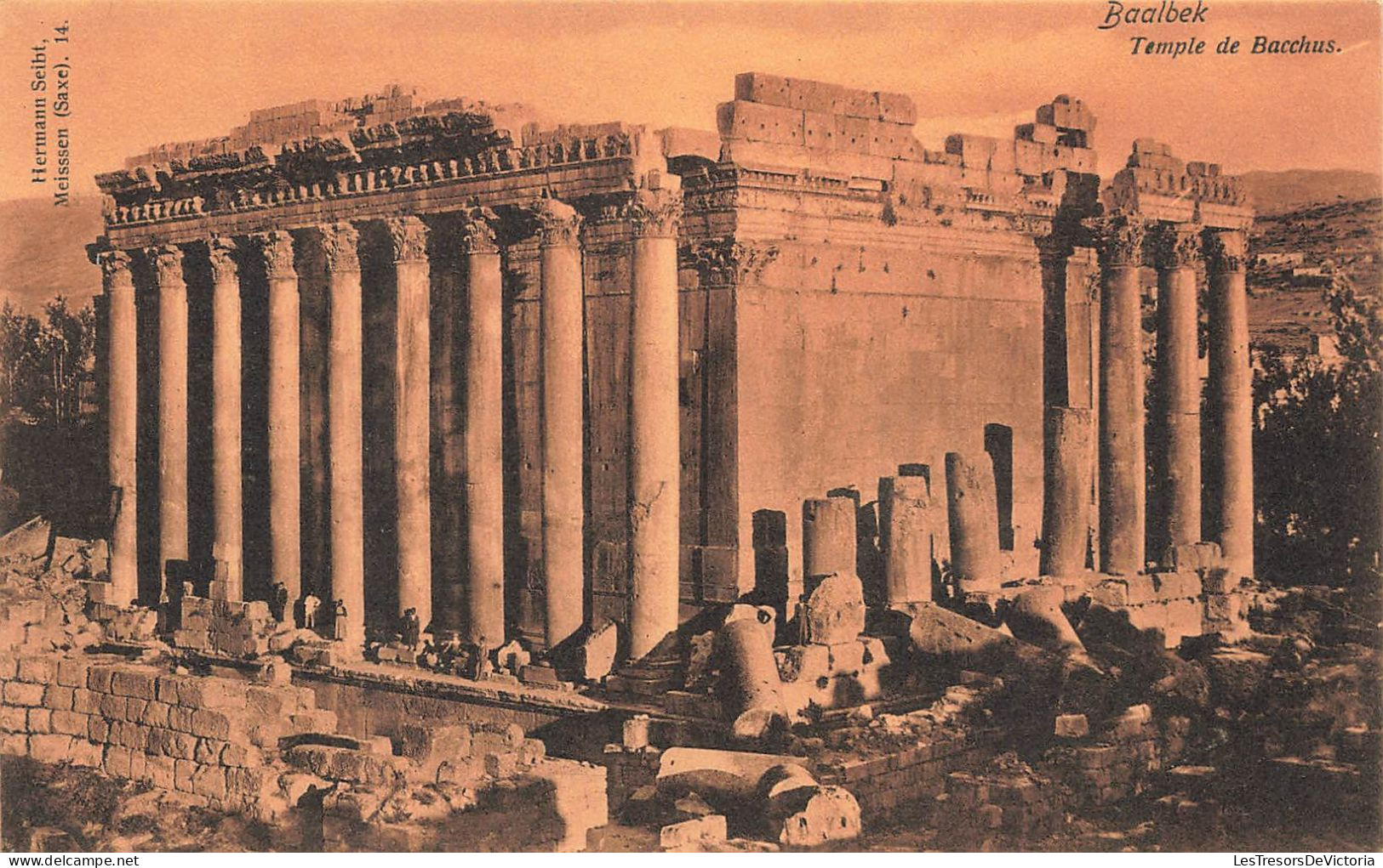 LIBAN - Balbeek - Temple De Bacchus - Antiquité - Ruines  - Carte Postale Ancienne - Libanon