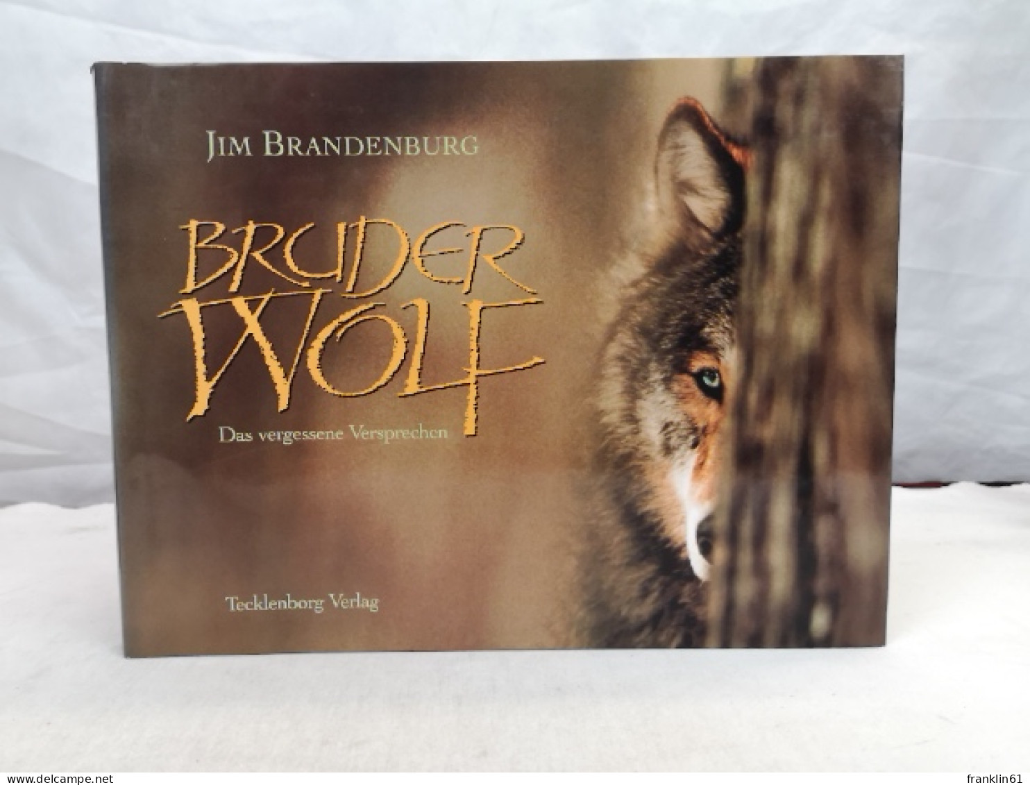 Bruder Wolf. Das Vergessene Versprechen. - Animals