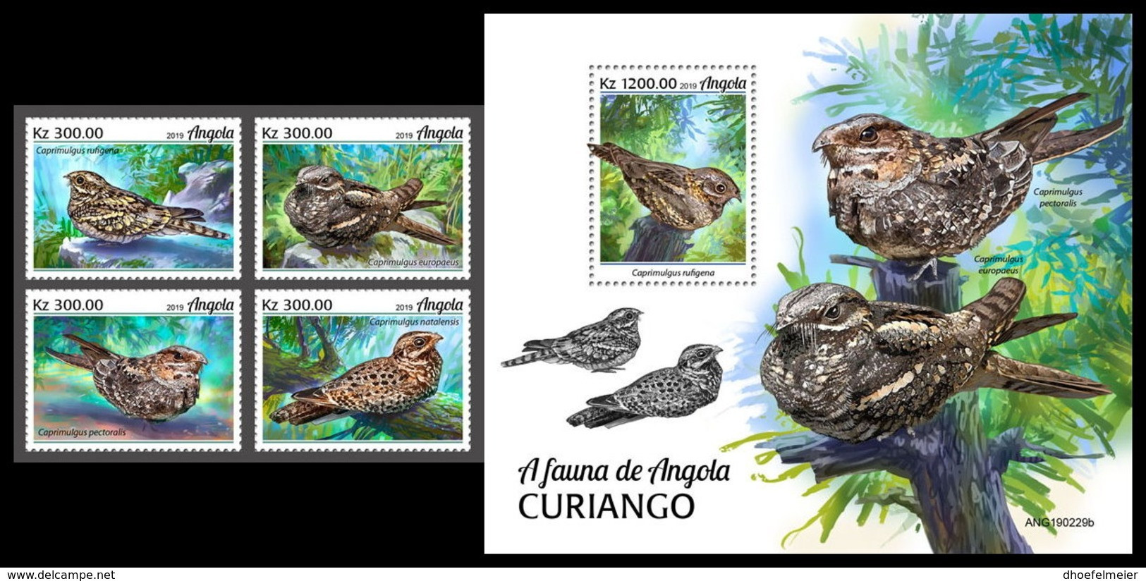 ANGOLA 2019 MNH Nightjars Nachtschwalben Engoulevent 4v+S/S - OFFICIAL ISSUE - DH2006 - Schwalben