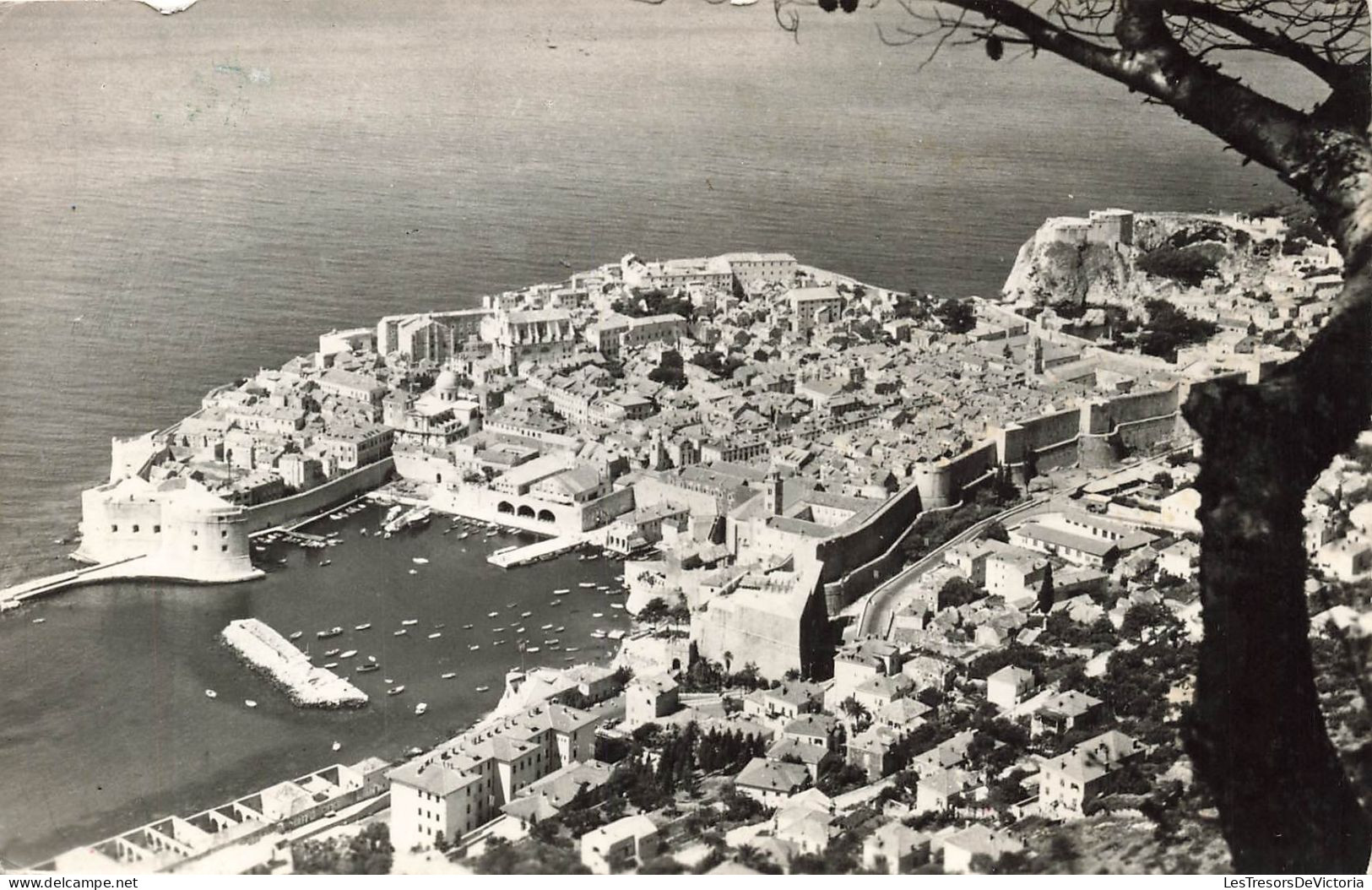 CROATIE - Dubrovnik - Vue Générale De La Ville - Océan - Carte Postale Ancienne - Croatie