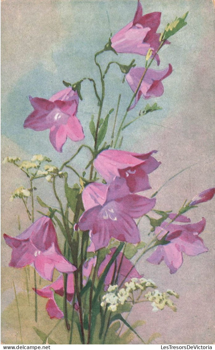 FLEURS PLANTES - Fleurs - Campanule - Violettes - Carte Postale Ancienne - Blumen