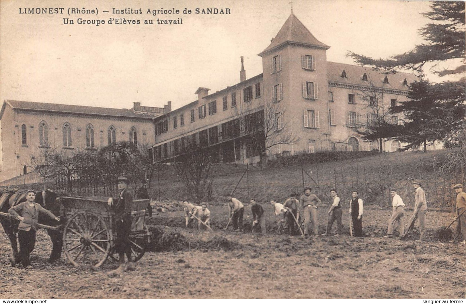 CPA 69 LIMONEST / INSTITUT AGRICOLE DE SANDAR / UN GROUPE D'ELEVES AU TRAVAIL - Sonstige & Ohne Zuordnung