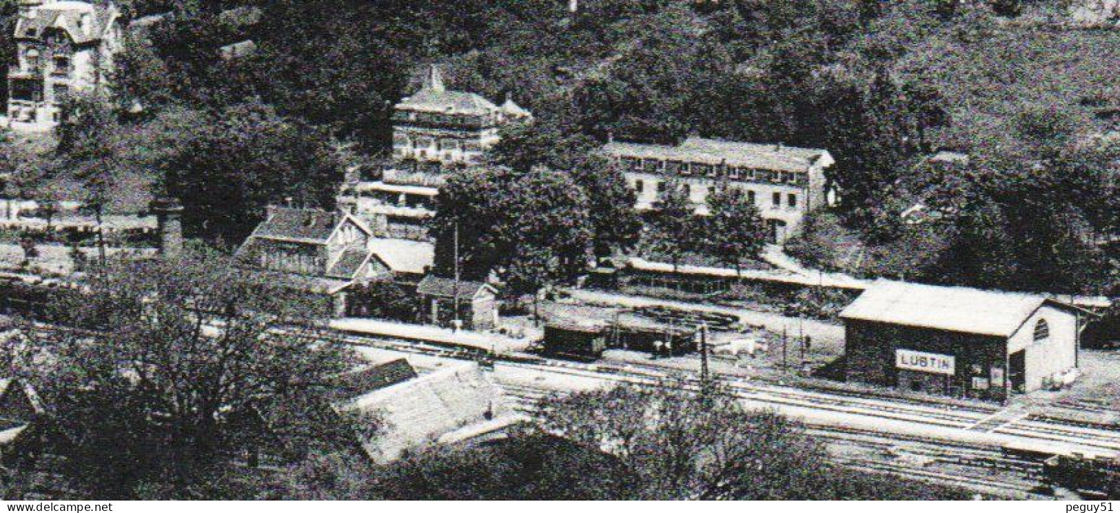 Lustin ( Profondeville). Vue Générale Avec La Gare.( 1862 - Ligne 154 NamurDinant). Pub Café-Restaurant Du Pêcheur. 1953 - Profondeville