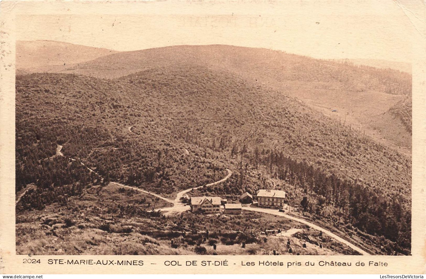 FRANCE - Sainte-Marie-aux-Mines - Col De Saint-Dié - Les Hôtels Pris Du Château De Faîte - Carte Postale Ancienne - Sainte-Marie-aux-Mines