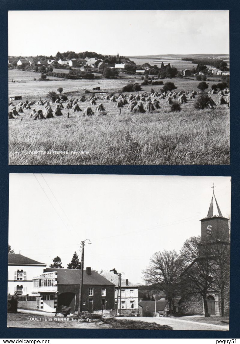 Louette-Saint-Pierre ( Gedinne). Panorama Avec L'église St.Pierre, Grand' Place. Lot De 2 Cartes - Gedinne