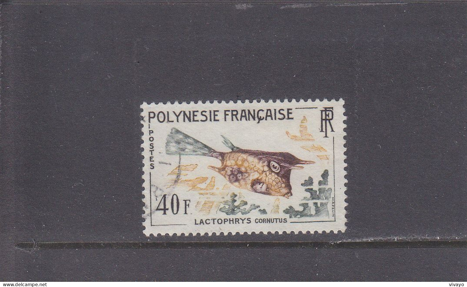 FRENCH POLYNESIA - POLYNESIE FRAN. - O / FINE CANCELLED - 1962 - TROPICAL FISH (TOP VALUE) - Yv. 21 - Mi. 27 - Used Stamps