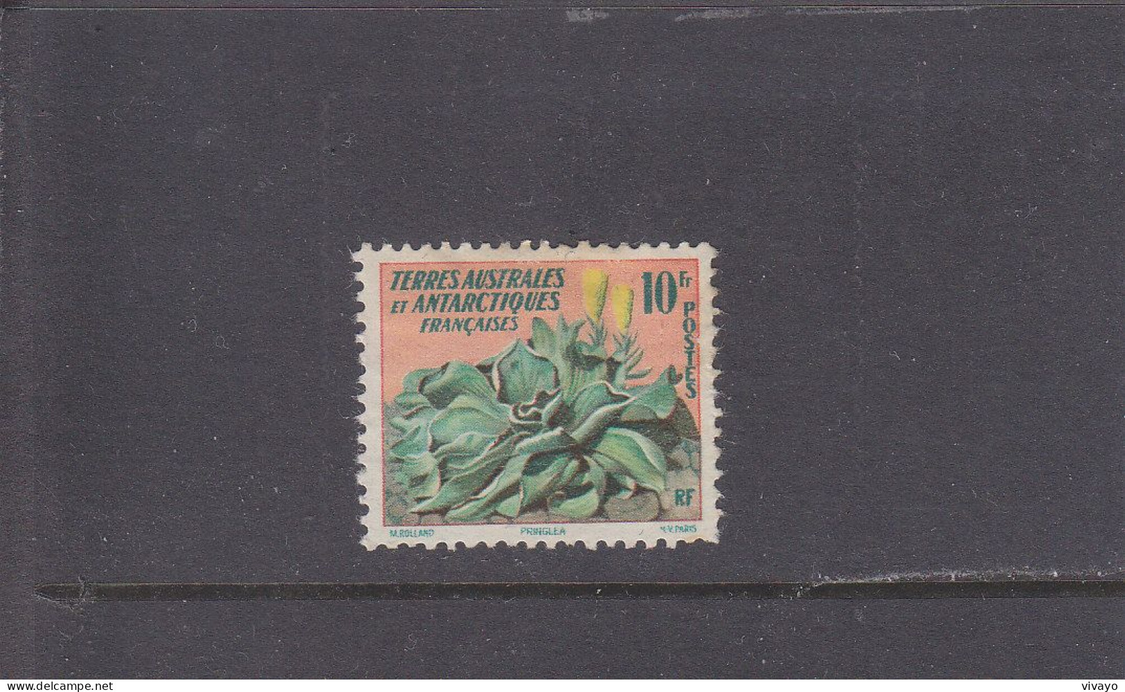 TAAF - O / FINE CANCELLED - 1959 - KERGELEN PLANT & FLOWER - Yv. 11 - Mi. 13 - Gebraucht