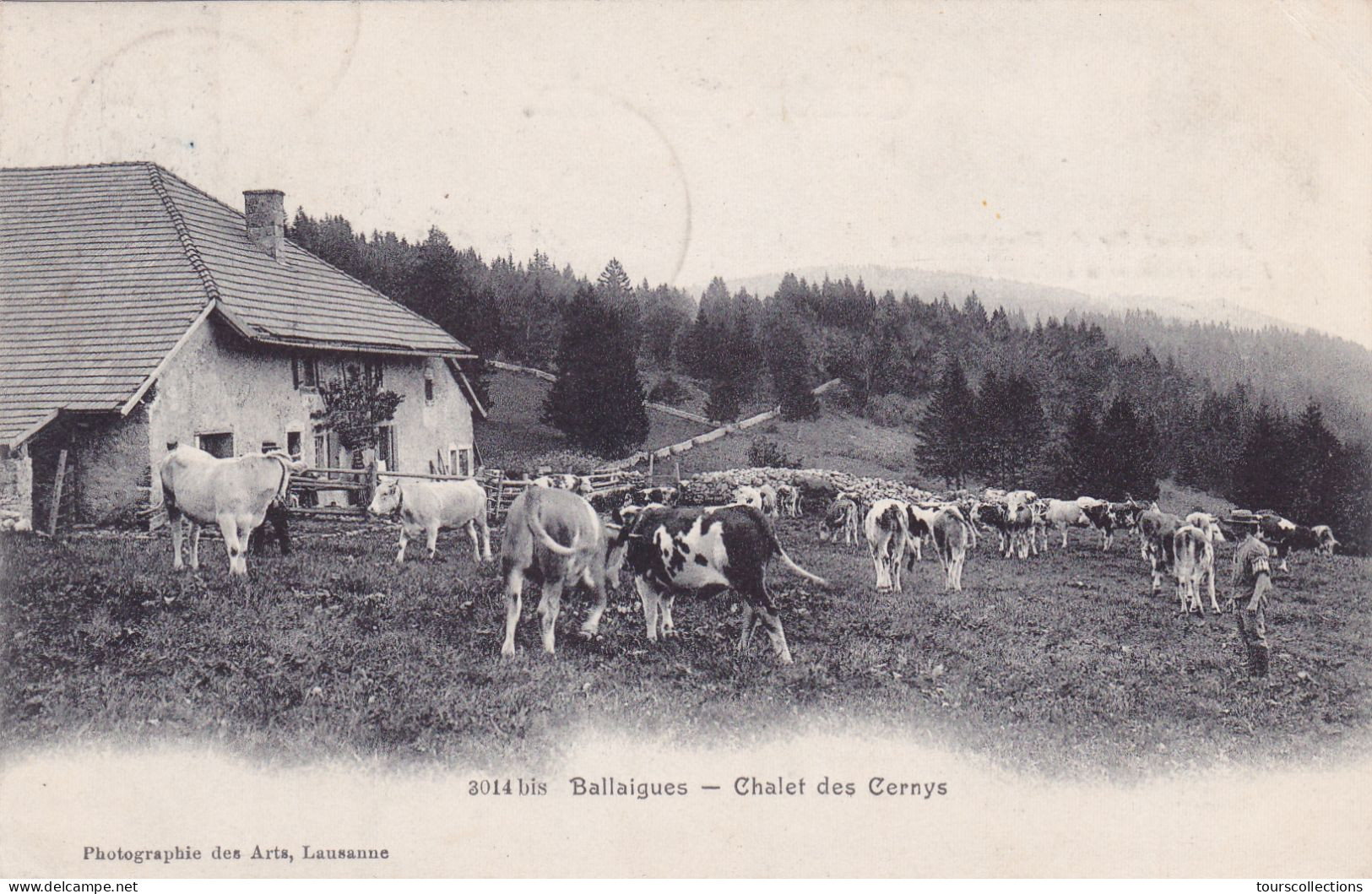 CPA SUISSE - BALLAIGUES - Chalet Des Cernys En 1905 - Troupeau De Vaches - Editeur Lausanne N° 3014 Bis - Ballaigues