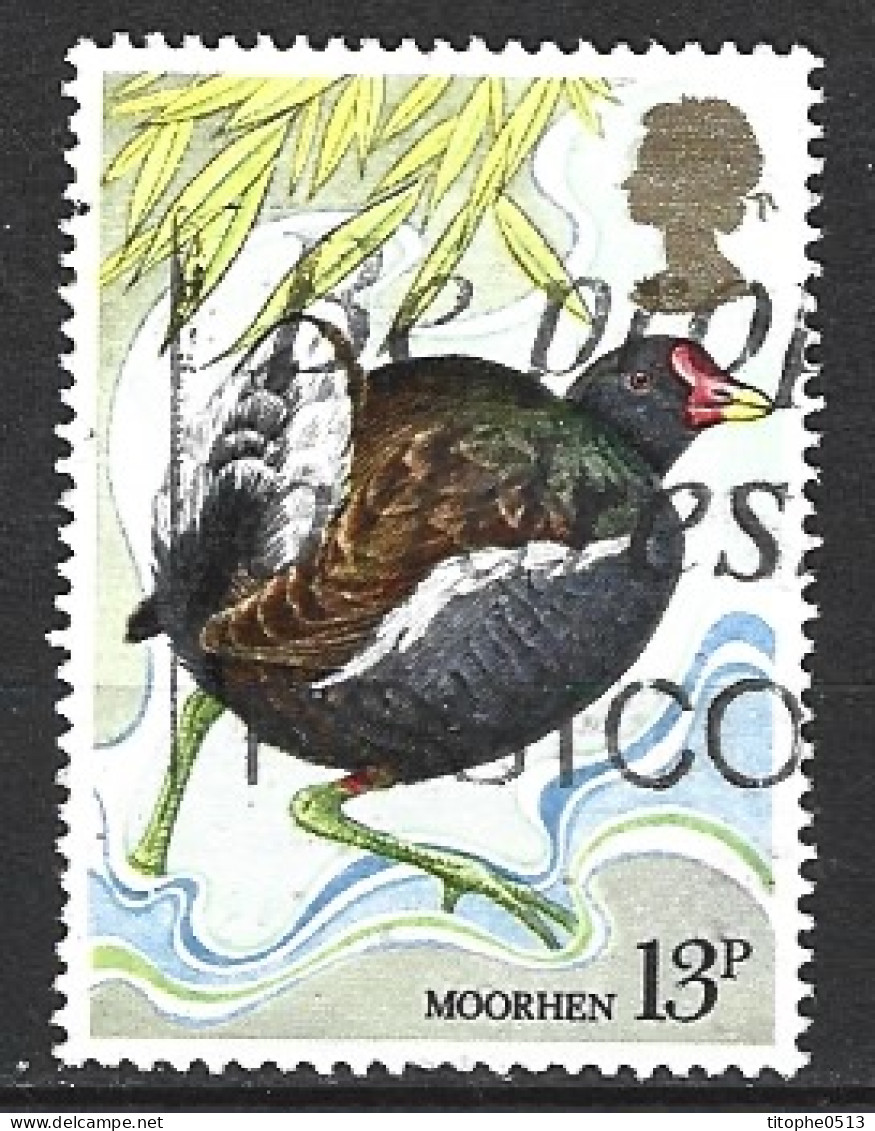 GRANDE-BRETAGNE. N°924 Oblitéré De 1980. Poule D'eau. - Grues Et Gruiformes