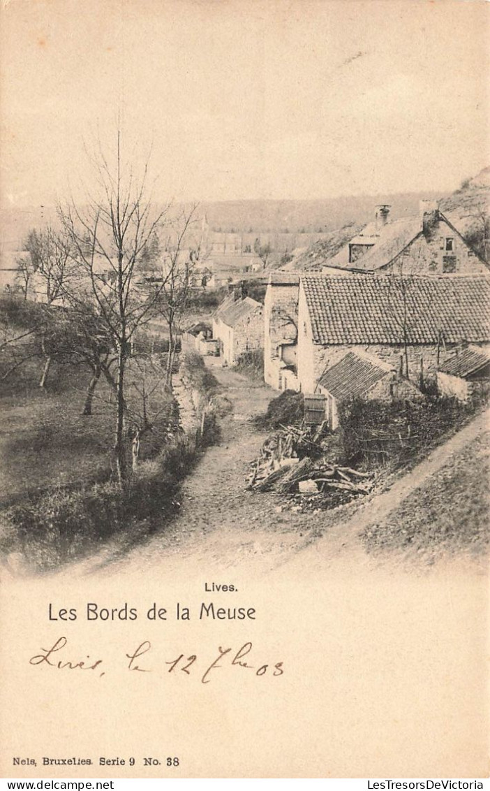 BELGIQUE - Namur - Les Bords De La Meuse - Lives - Carte Postale Ancienne - Namur