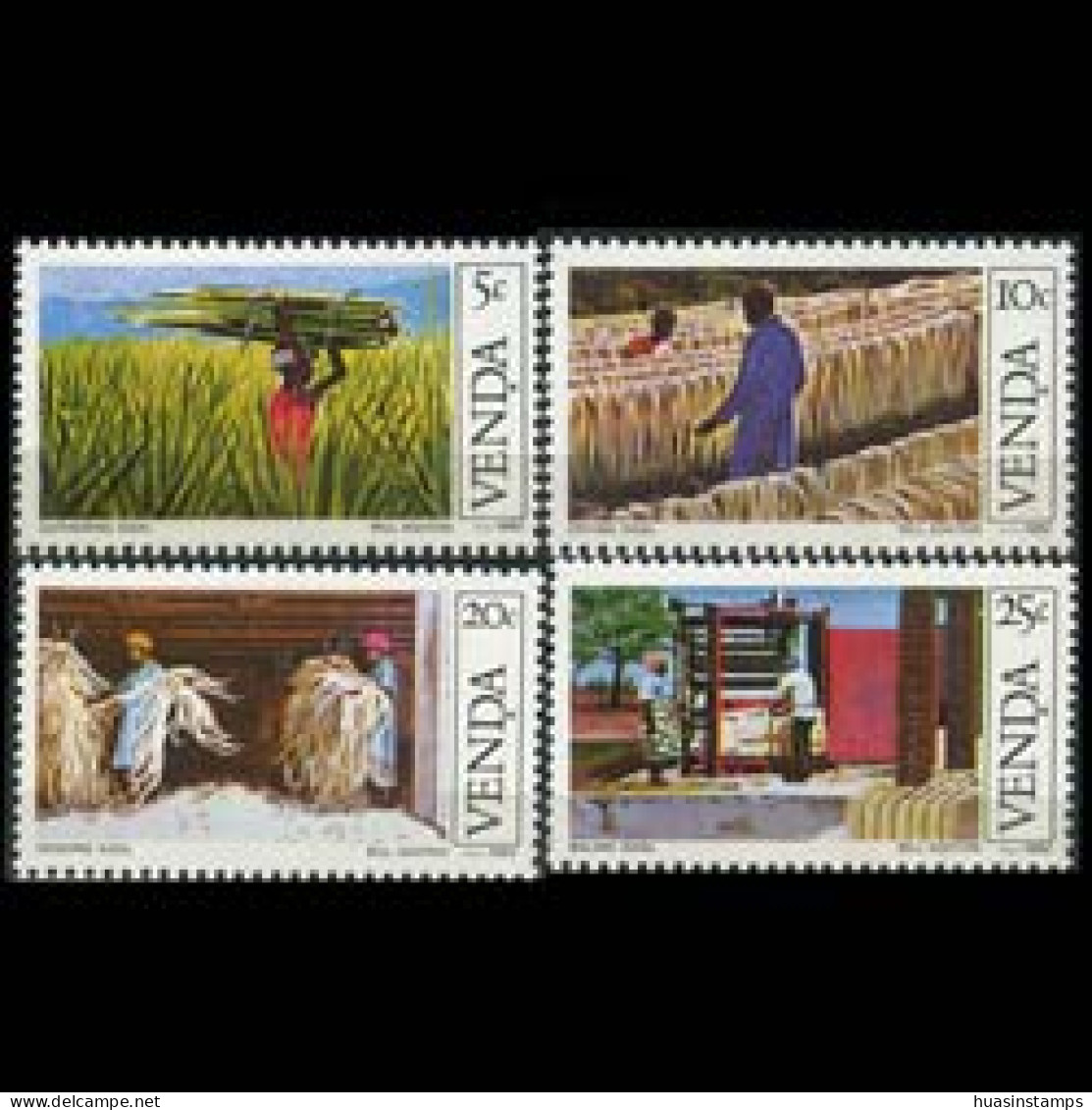 VENDA 1982 - Scott# 56-9 Sisal Cultivation Set Of 4 MNH - Venda